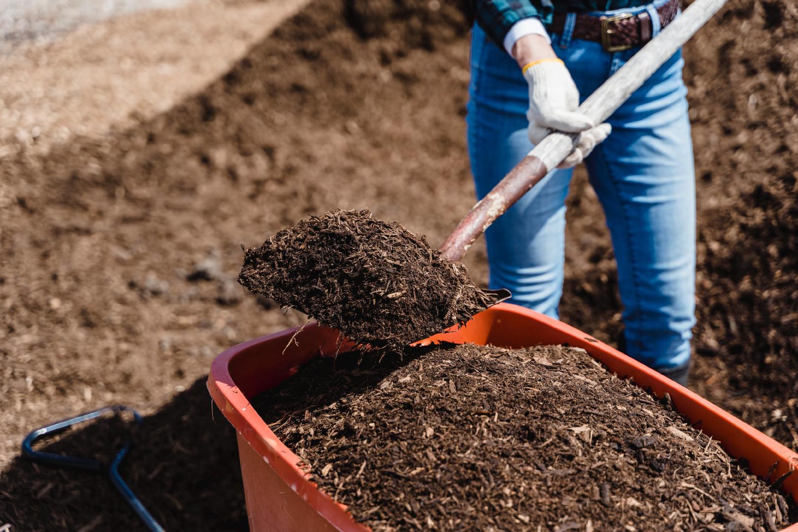 “From Waste to Gold: Unleashing the Power of Composting and Vermiculture”