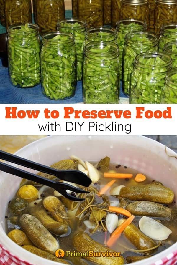 “Fermenting and Pickling: A Tangy Trip Through Time”