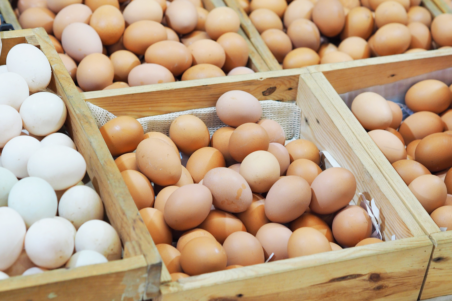 “Cracking the Nutritional Benefits: Why Free-Range Eggs are a Healthier Choice”