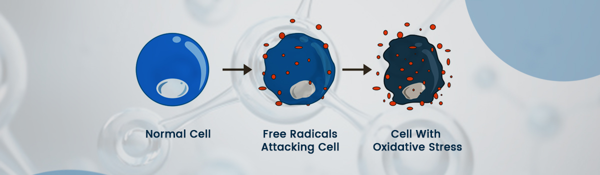 “Combat Oxidative Stress and Boost Your Health with These Simple Diet and Lifestyle Changes”