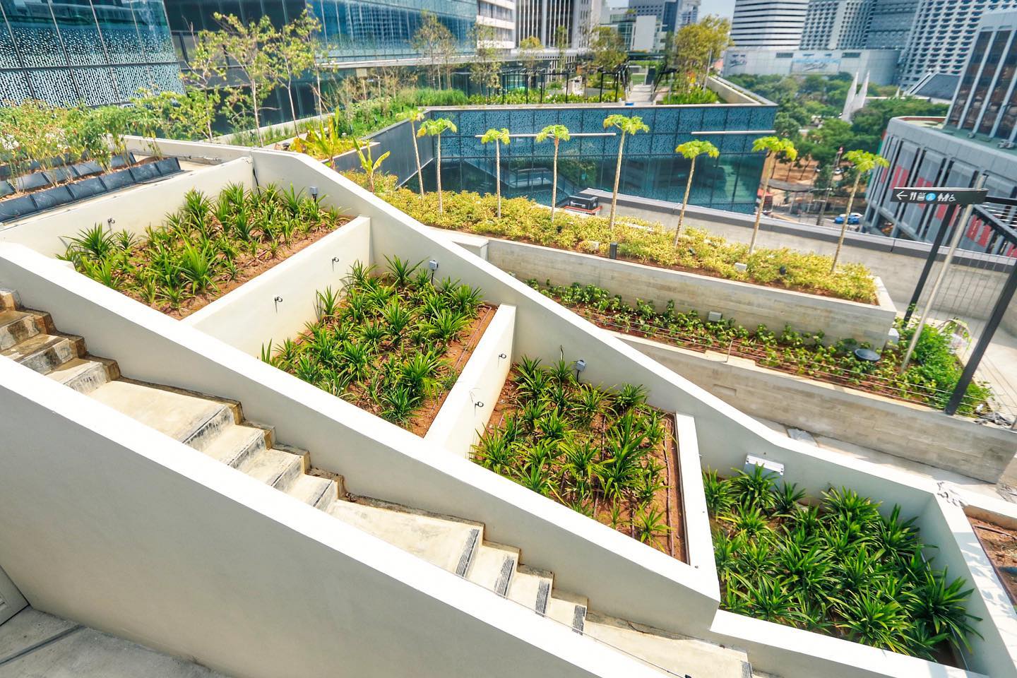 “Growing Food in the Concrete Jungle: The Rise of Urban Farming”