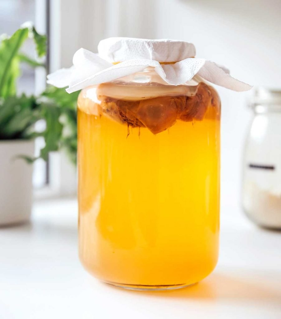 Brewing the Perfect Kombucha: Choosing the Right Tea for Delicious Results