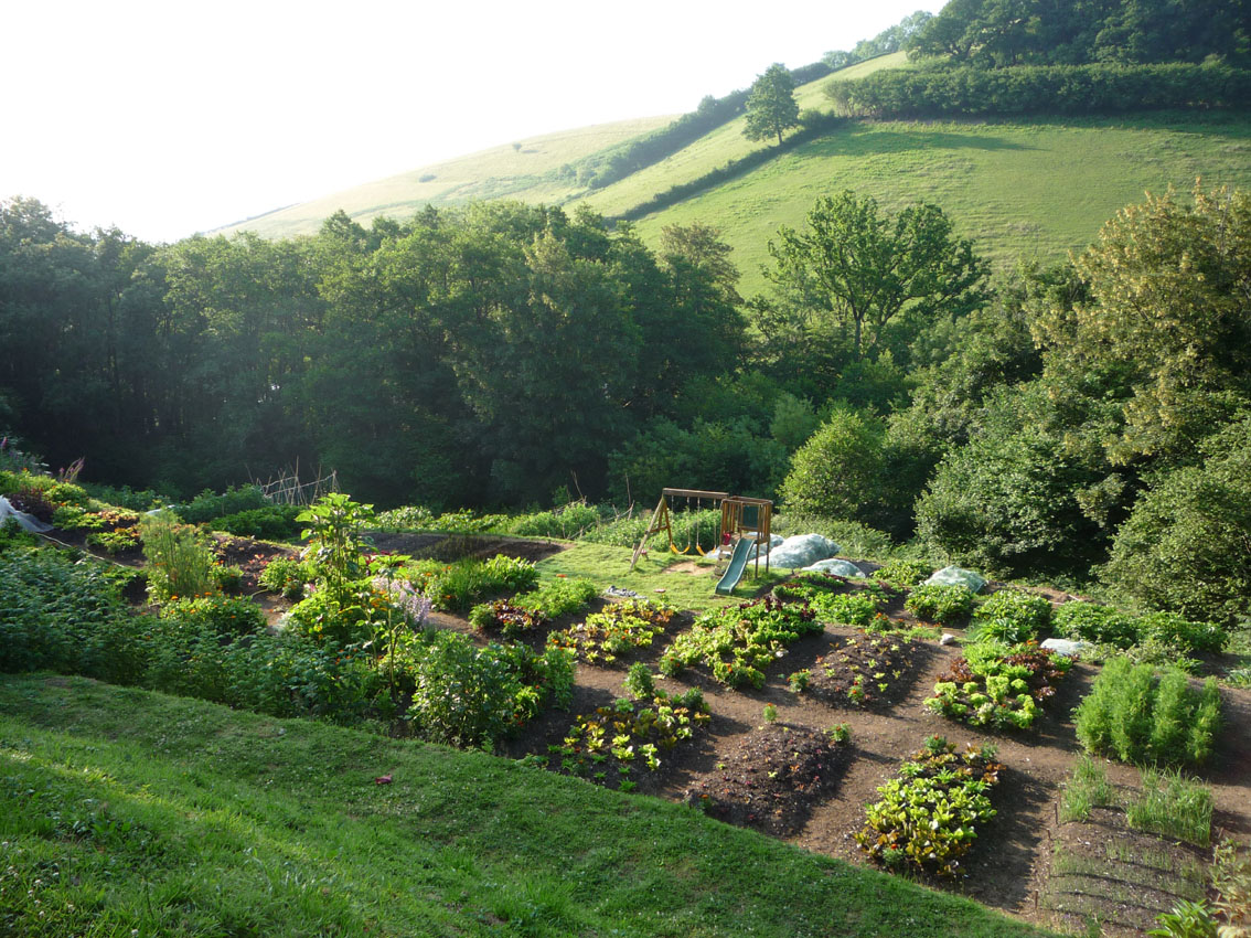 “Permaculture Design: Cultivating Healthy Eating and Sustainability”