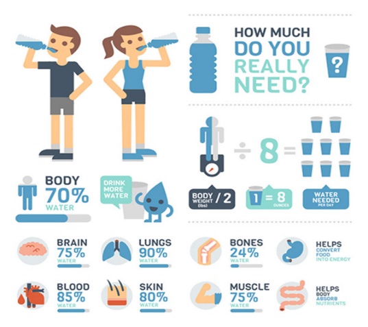 Hydrate on a Budget: Practical Tips for Saving Money and Staying Healthy