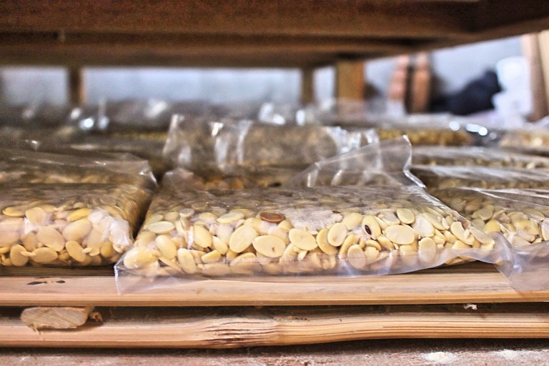 “Tempeh: The Sustainable Protein Choice for a Greener Future”