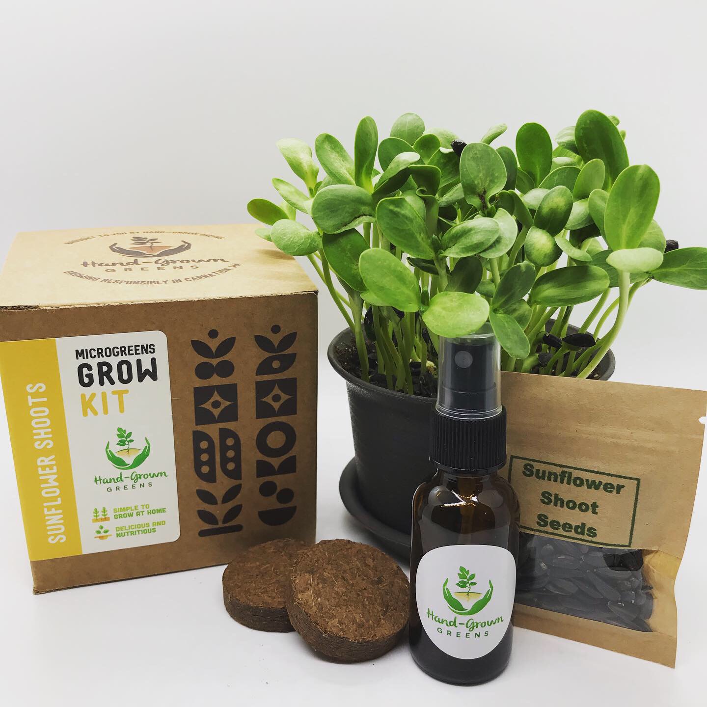 Grow Your Own Fresh Microgreens at Home and Save Money!