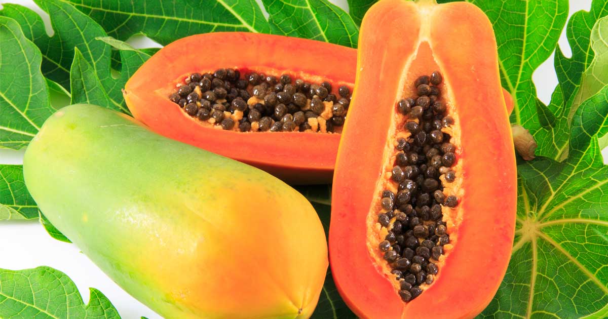 Unlock the Health Benefits of Papaya Seeds: A Hidden Treasure for Your Well-being