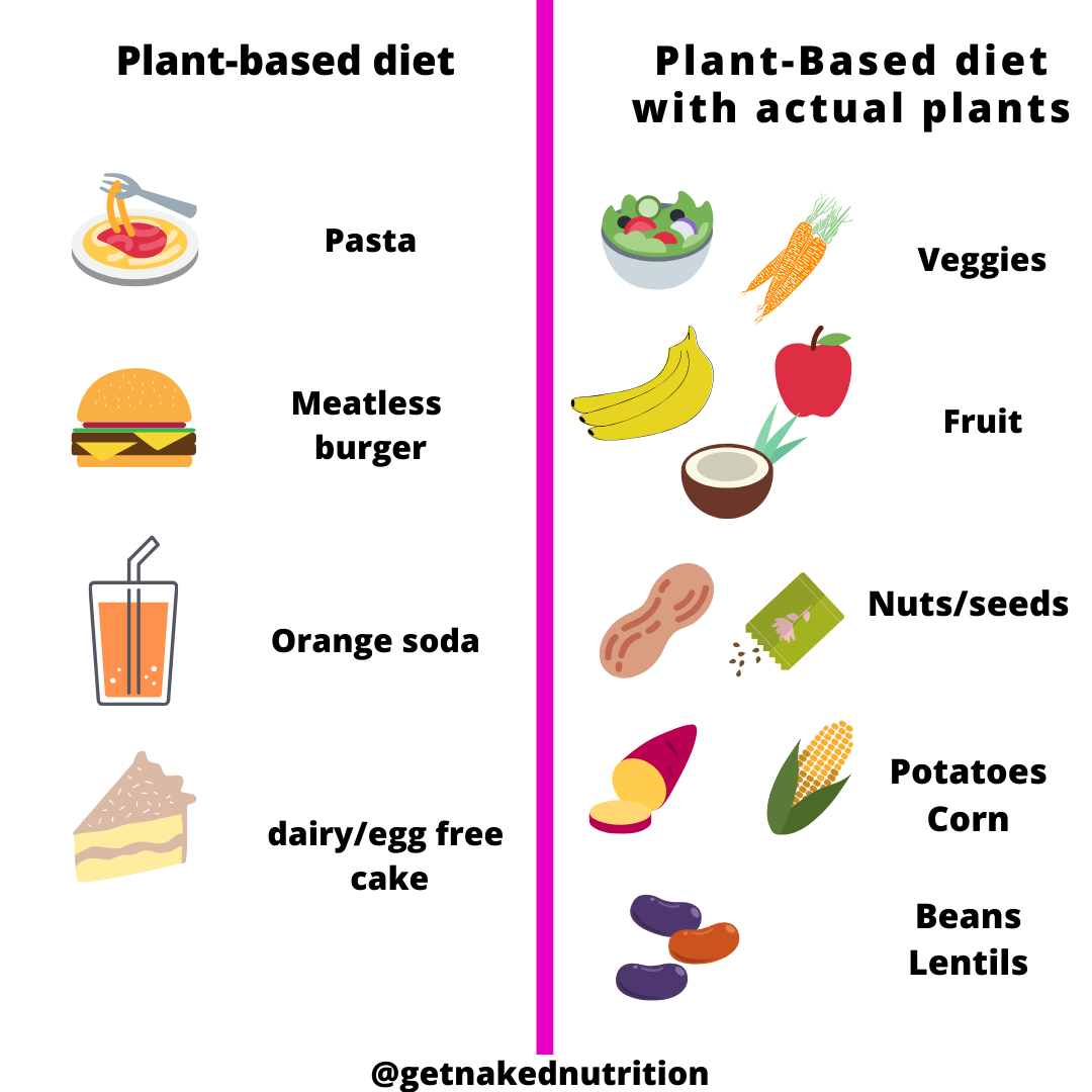Thriving on Plants: Meeting Nutritional Needs on a Plant-Based Diet