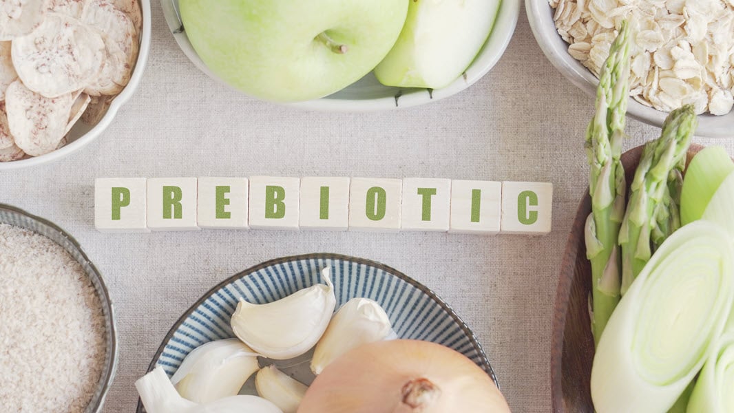 “Nourish Your Gut and Thrive: The Power of Prebiotic Foods”