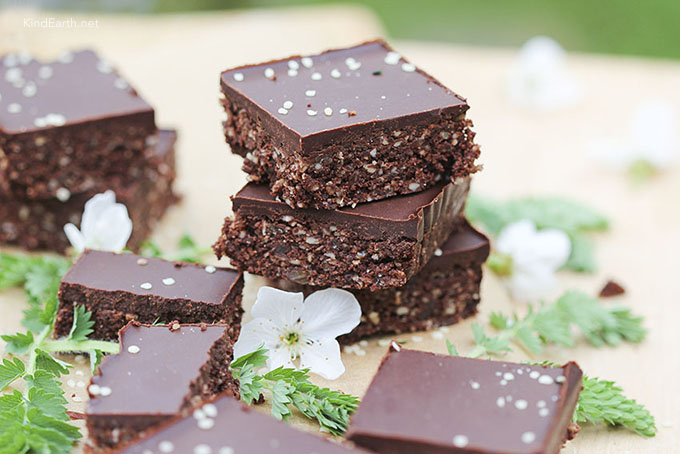Embark on a Delightful and Adventurous Journey into the Land of Hemp Seed Brownies