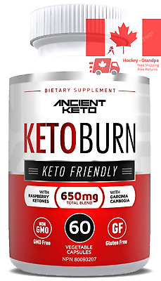 Unlocking Mental Clarity: The Keto Diet’s Cognitive Benefits