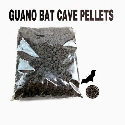 “Caves: The Hidden Secret to Healthy Eating”