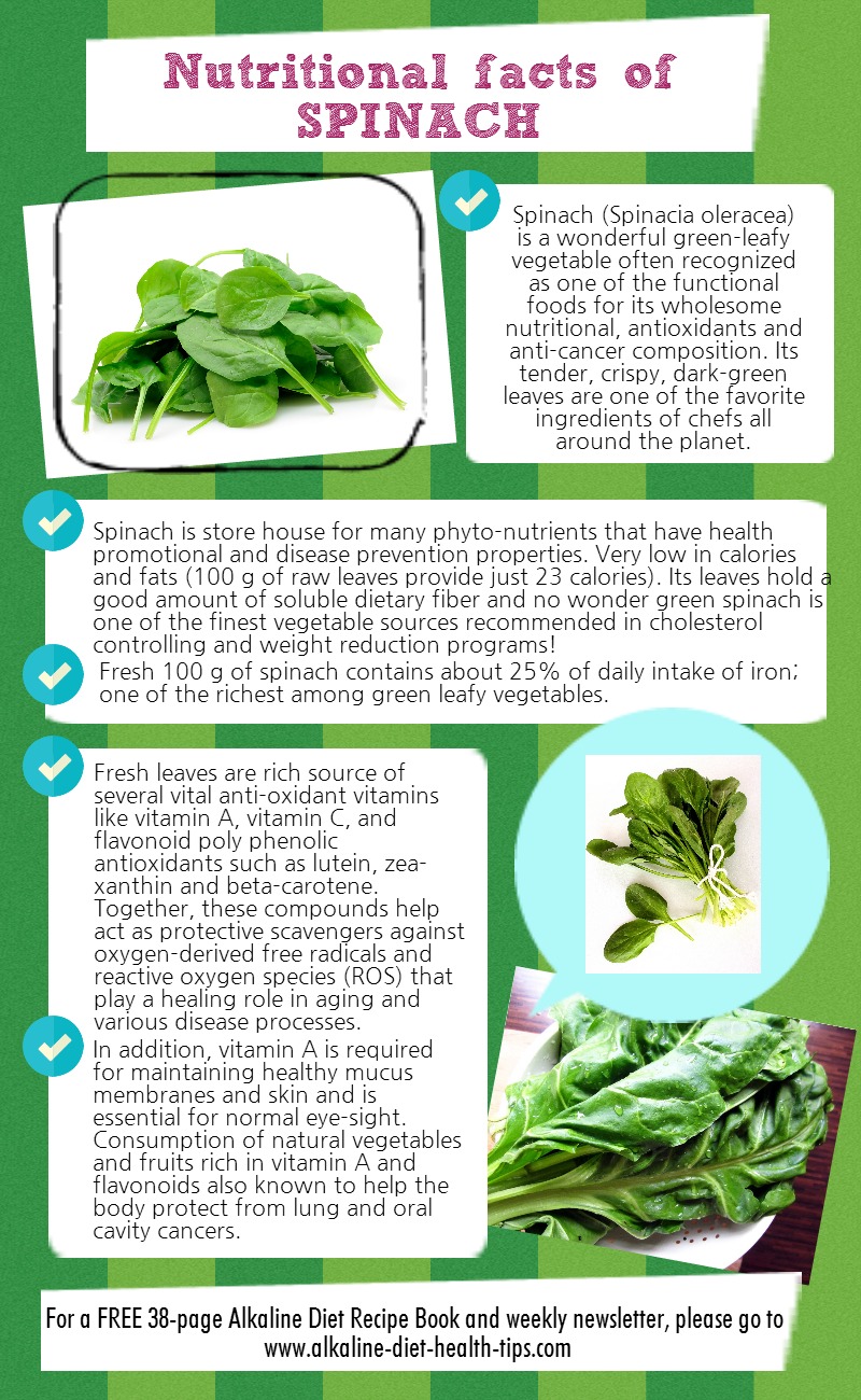 Spinach: The Ultimate Nutritional Powerhouse
