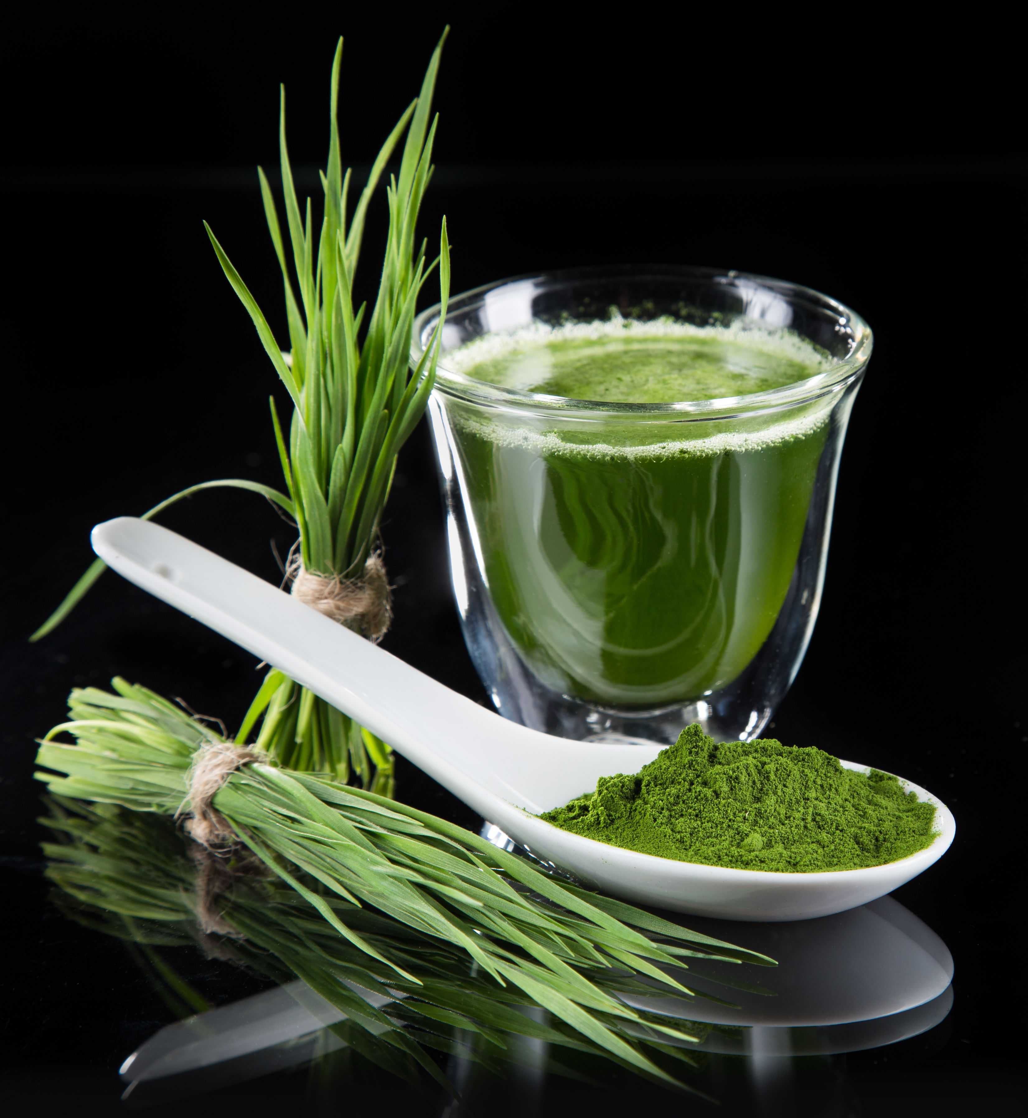 “Say Goodbye to Bland Meals: Spice Up Your Diet with Spirulina!”