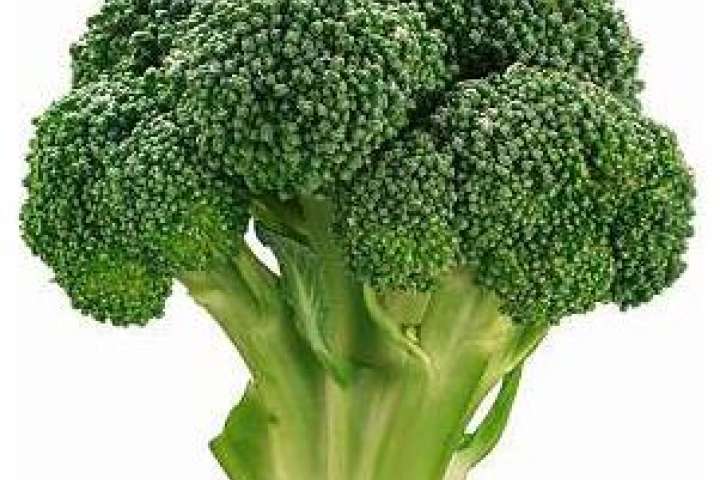 Boost Your Immune System with the Power of Broccoli!