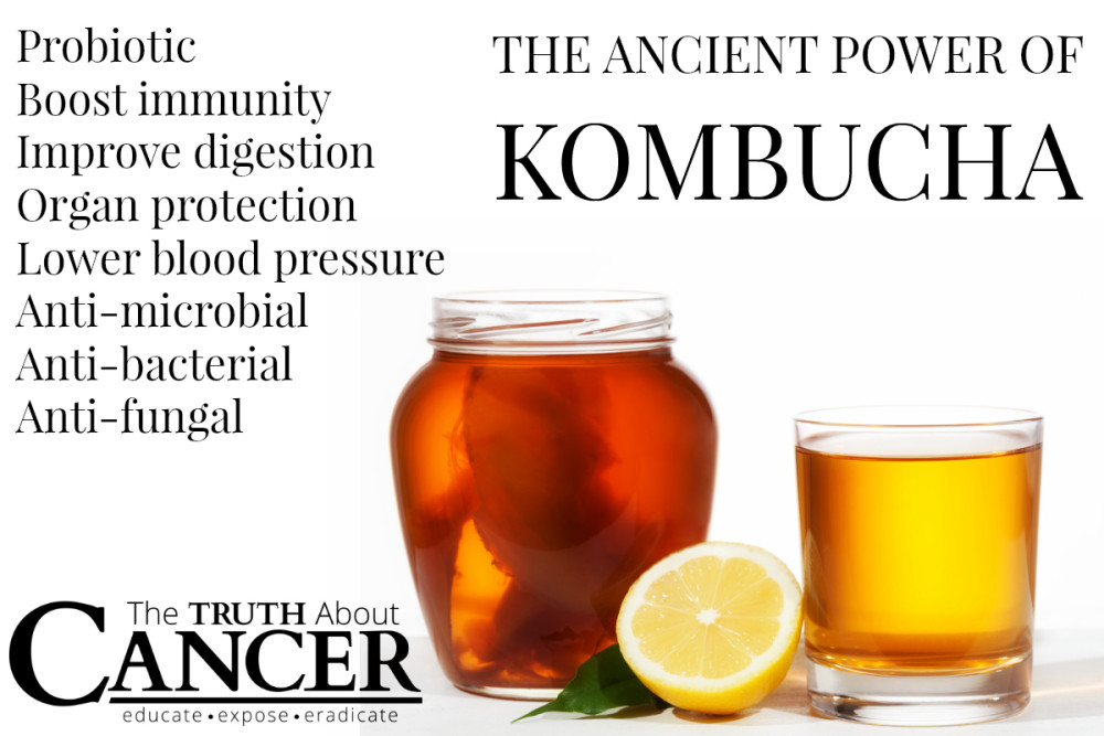 "8 Reasons to Embrace Kombucha: From Gut Health to Immune Boosting, This Trendy Drink Delivers"