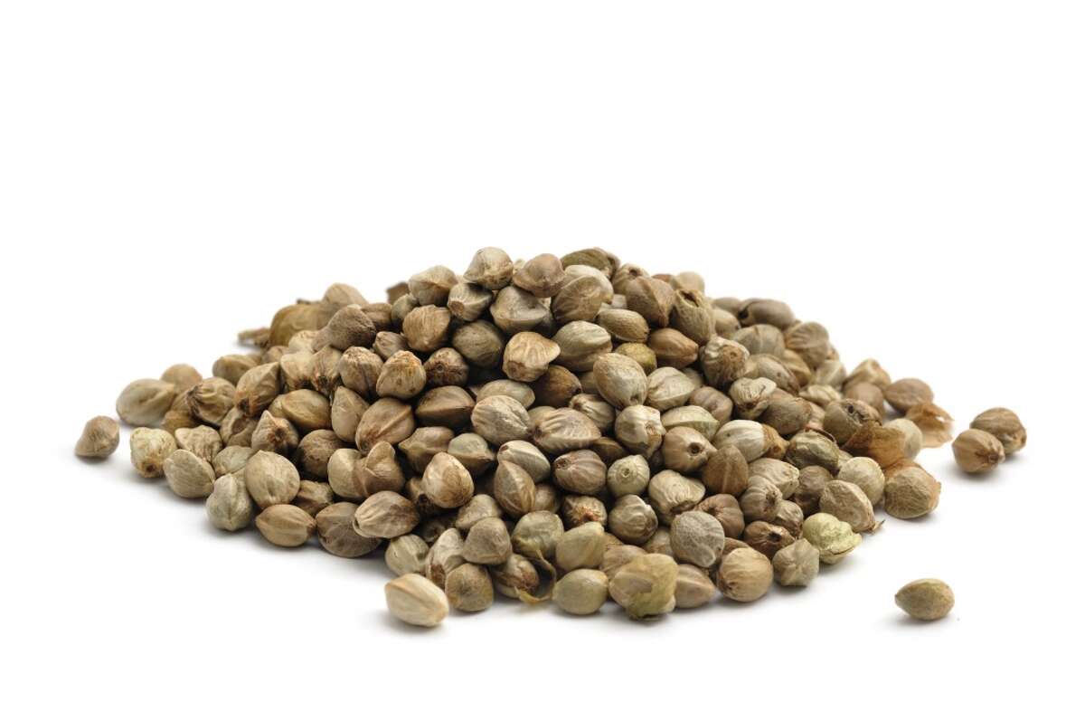 Unleashing the Power of Omega-6 Fatty Acids: Hemp Seeds Take the Spotlight