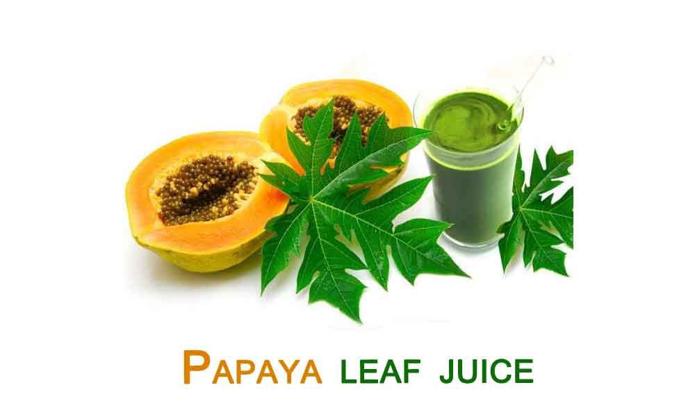 Unlock the Health Benefits of Papaya: From Digestion to Skin Health