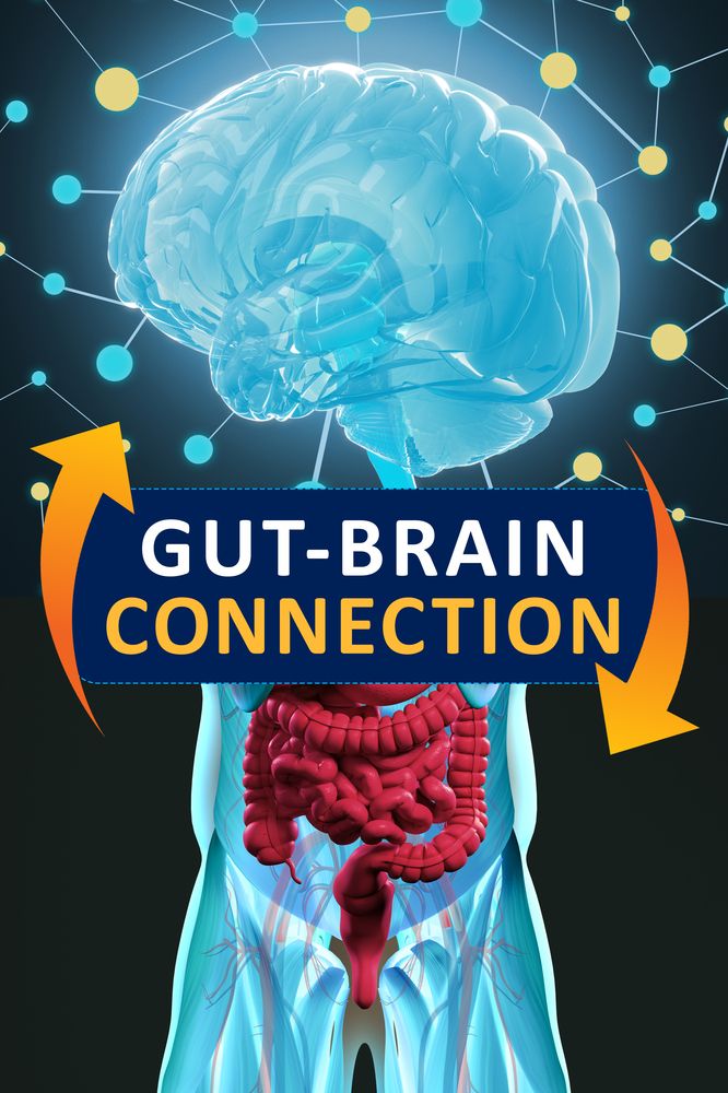 The Gut-Brain Connection: How Your Diet Affects Your Mental Health