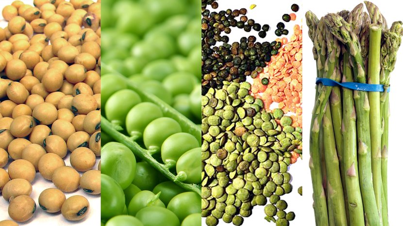 "Legumes: The Mighty Powerhouses for a Healthy Lifestyle"