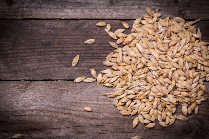 Barley: The Unassuming Superfood