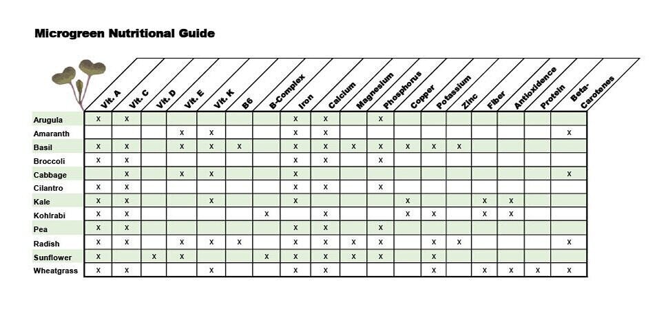 Unleashing the Nutritional Powerhouse: The Science Behind Microgreens’ Nutrient Density