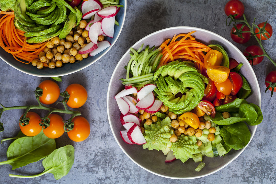 The Ultimate Guide to Thriving on a Plant-Based Diet