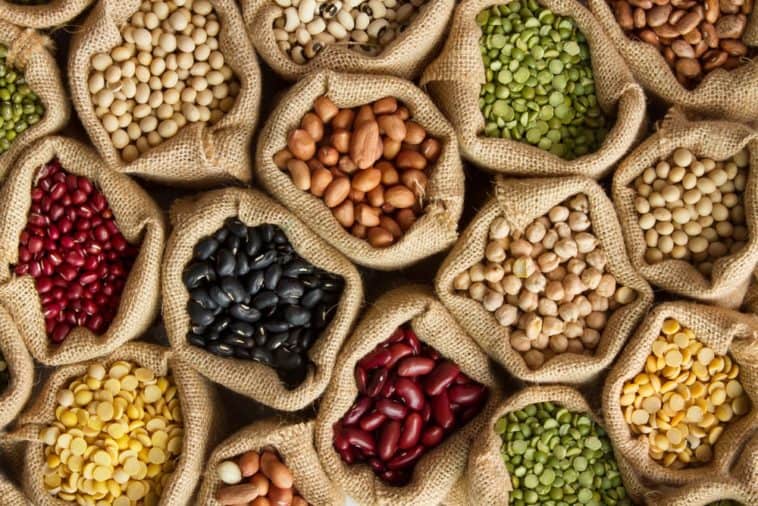 “Unleash the Protein Power: Discover the Hidden Gems of High-Protein Legumes!”