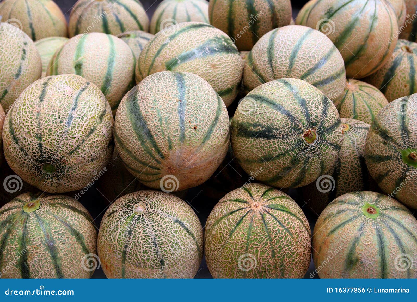 Cantaloupe: The Affordable Nutritional Powerhouse