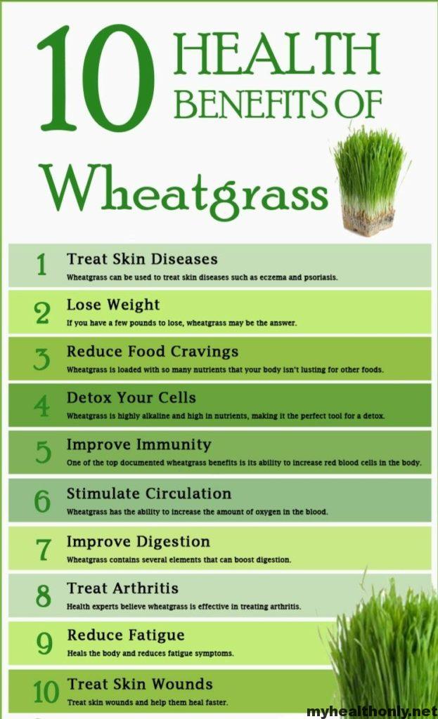 Unleash the Power of Wheatgrass: Beyond Smoothies and Juices