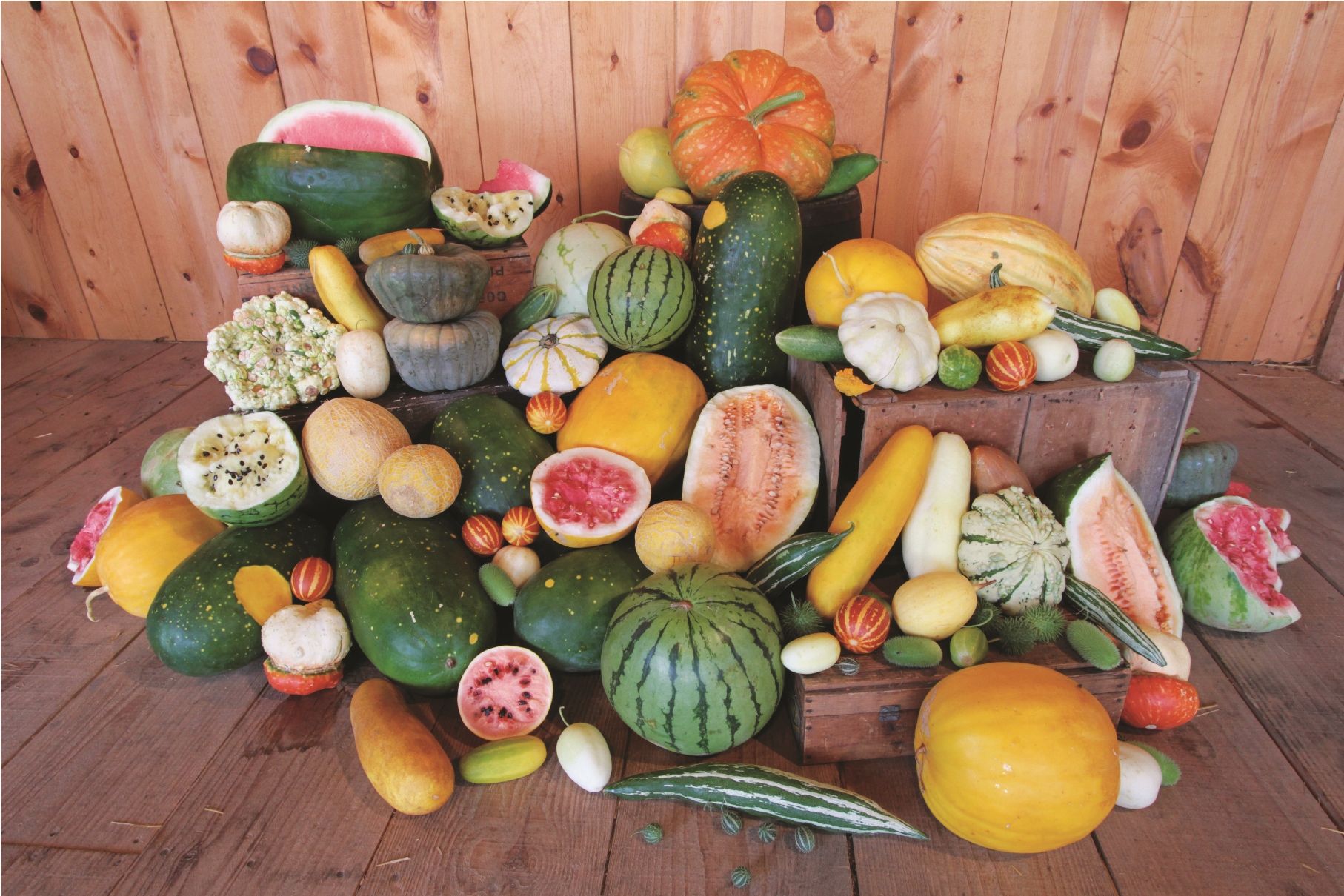 “Rediscovering the Past: Heirloom Varieties for a Healthier Future”
