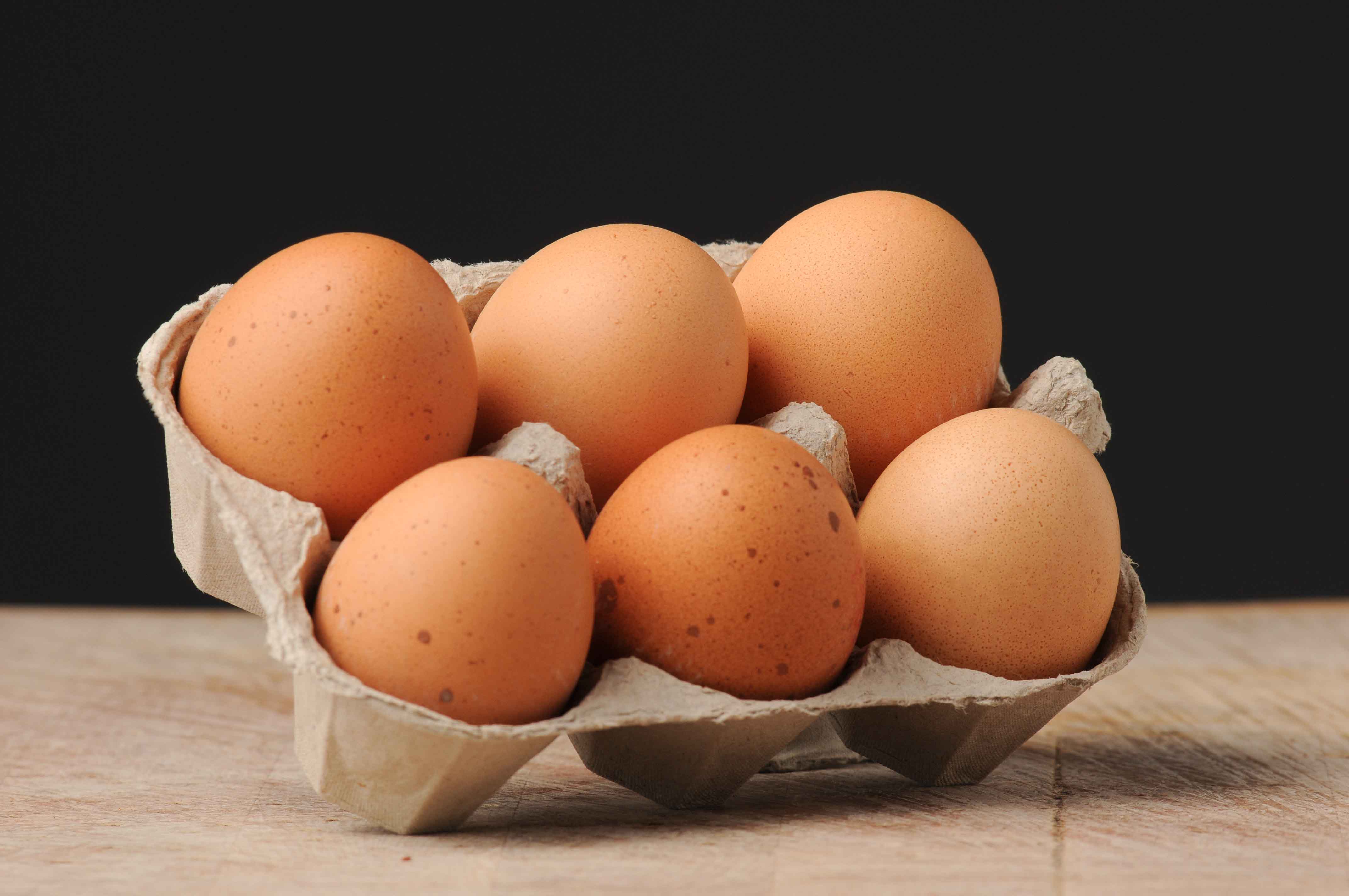“Cracking the Code: Ethical and Sustainable Free-Range Egg Production Unveiled”