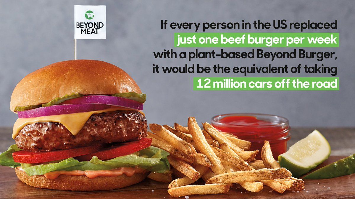 Leonardo DiCaprio: From Hollywood Star to Environmental Champion