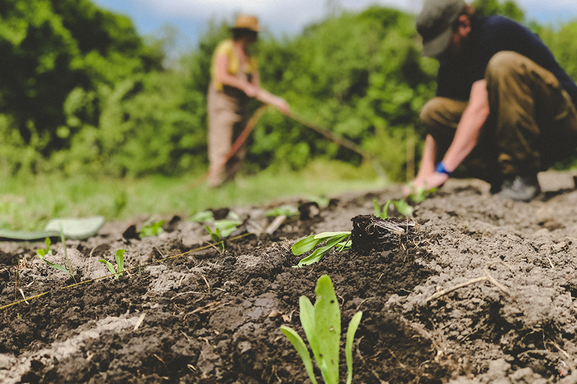 “Preserving Nature’s Bounty: Biodiversity Conservation Revolutionizes Agriculture for a Sustainable Future”