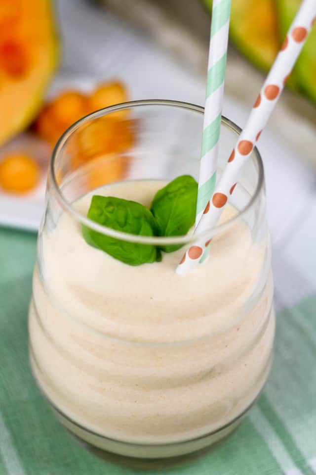 “Cantaloupe Smoothie Recipes: Sip Your Way to Refreshing and Nutritious Bliss!”