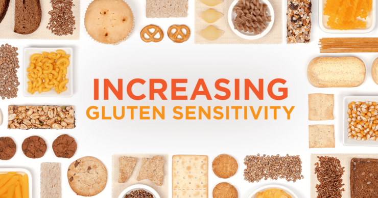 Unraveling the History of Gluten Sensitivity: From Ancient Greece to Modern Health Concern