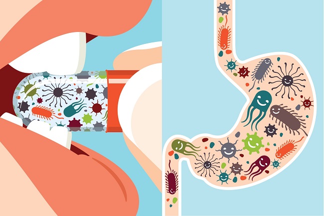 “Boost Your Gut Health: Nourish Your Microbiome with Prebiotics for a Thriving Well-being!”