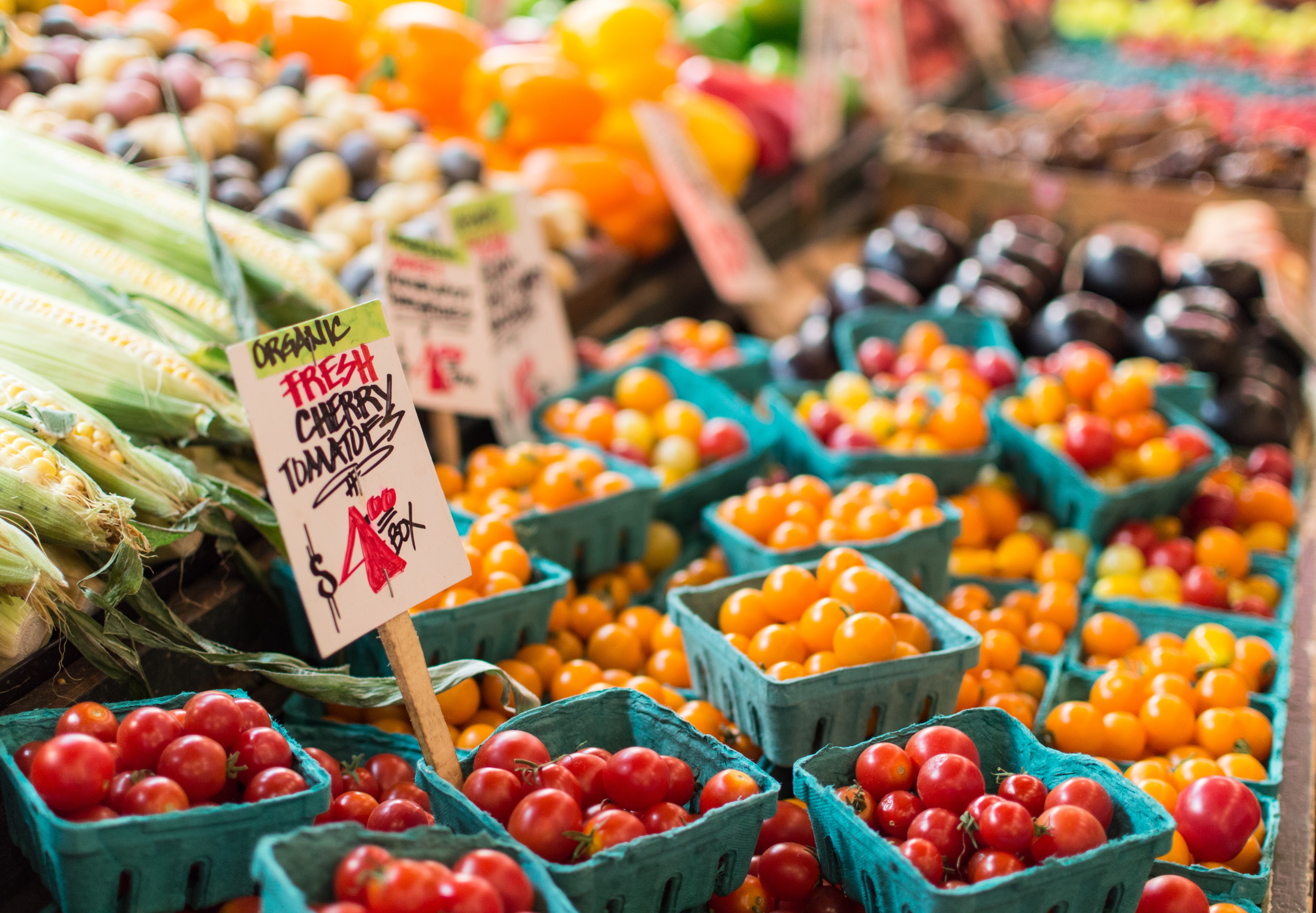 “Farm to Fork: Discover the Fresh and Flavorful World of Farmer’s Markets”