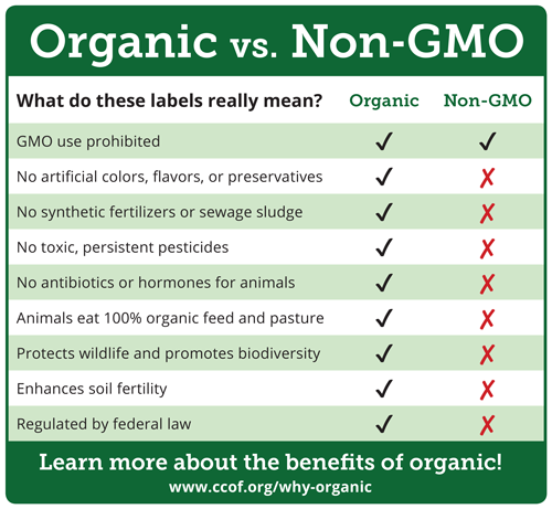 The GMO vs. Non-GMO Debate: A Satirical Showdown in the World of Healthy Eating