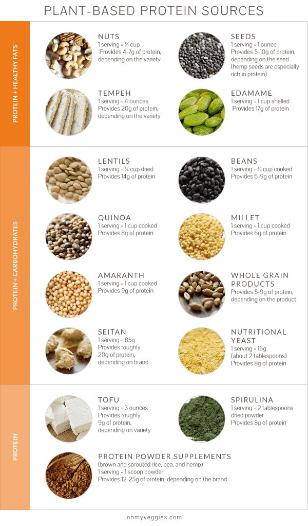 “Power Up Your Plate: 12 Plant-Based Protein Sources for Optimal Health and Sustainability”