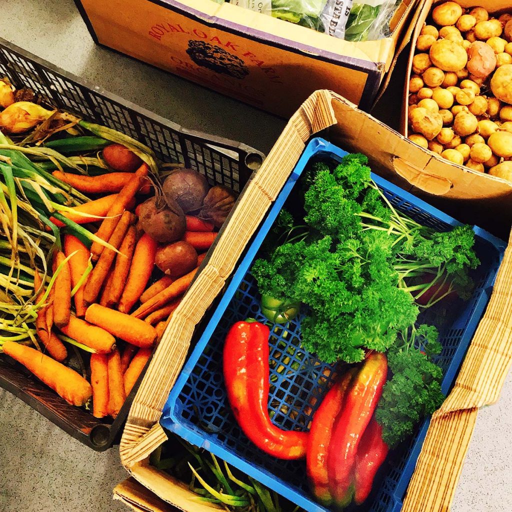 “Embrace the Seasons: Discover the Delights of Local, Organic, and Sustainable Eating”