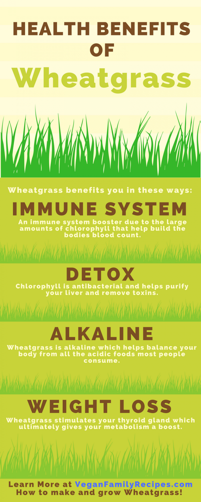 Unleash the Power of Wheatgrass: A Superfood for Optimal Health