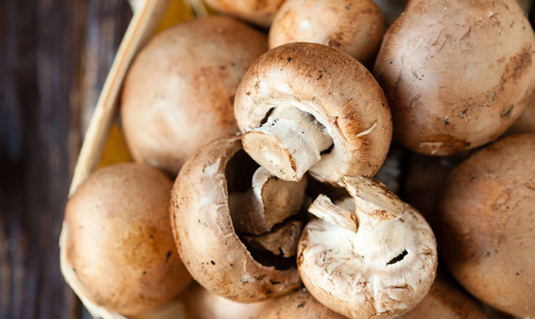 Unveiling the Hidden Antioxidant Power of Mushrooms