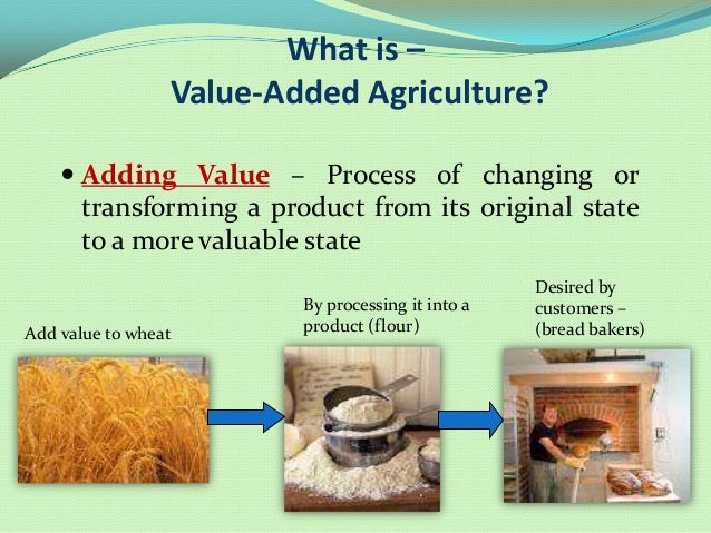 Unleashing Profit Potential: The Comprehensive Guide to Value-Added Farm Products