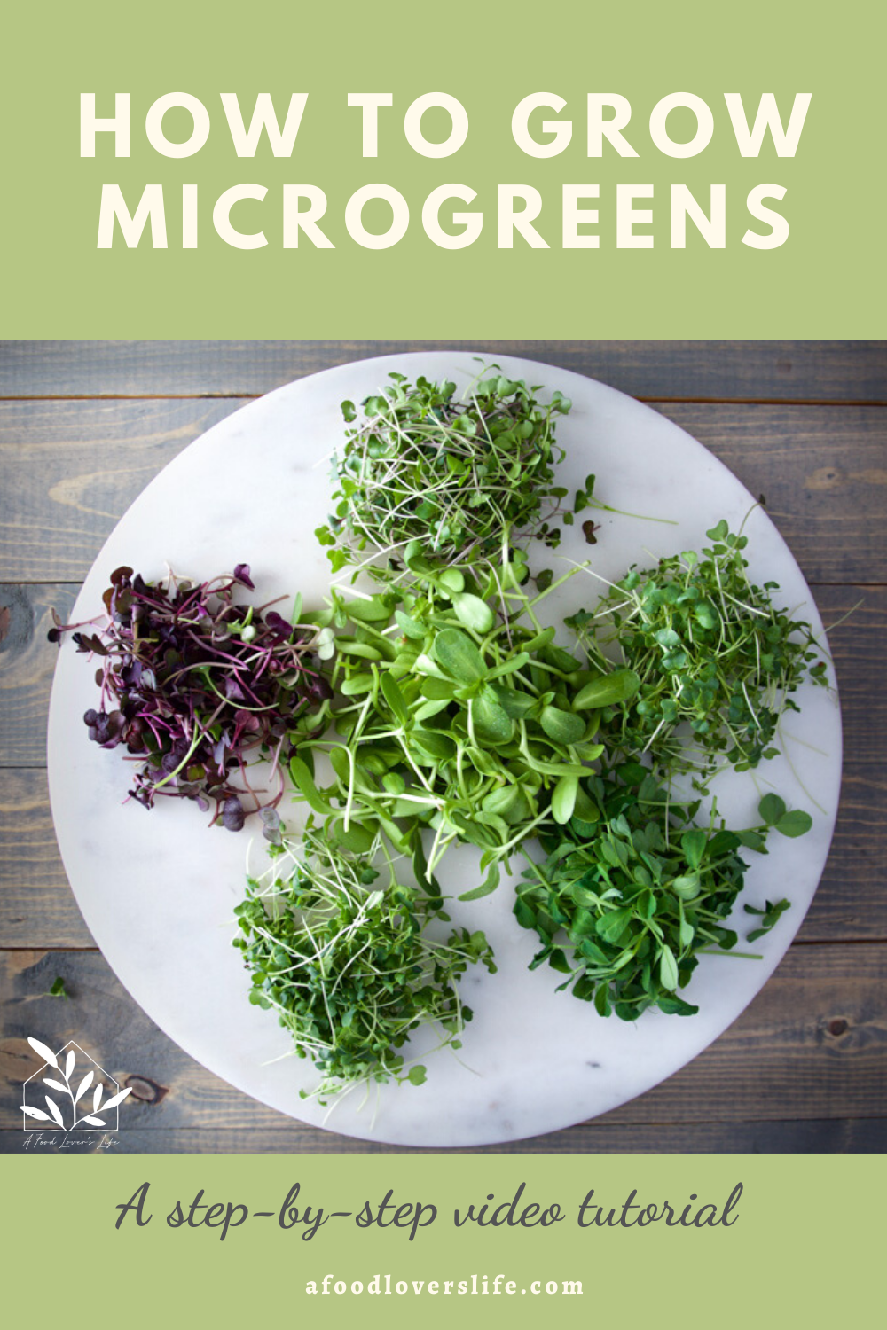 “Microgreens: Tiny Plants, Big Flavor and Nutrition”