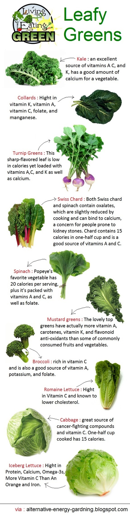 “Power up your health with leafy greens: A nutritious and flavorful powerhouse!”