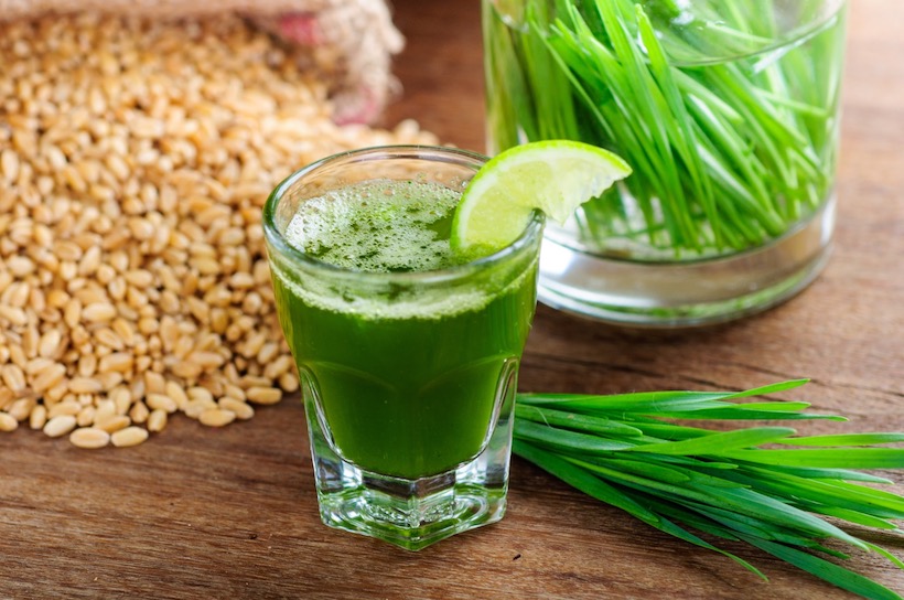 “Discover the Powerful Health Benefits of Wheatgrass: The Ultimate Superfood”