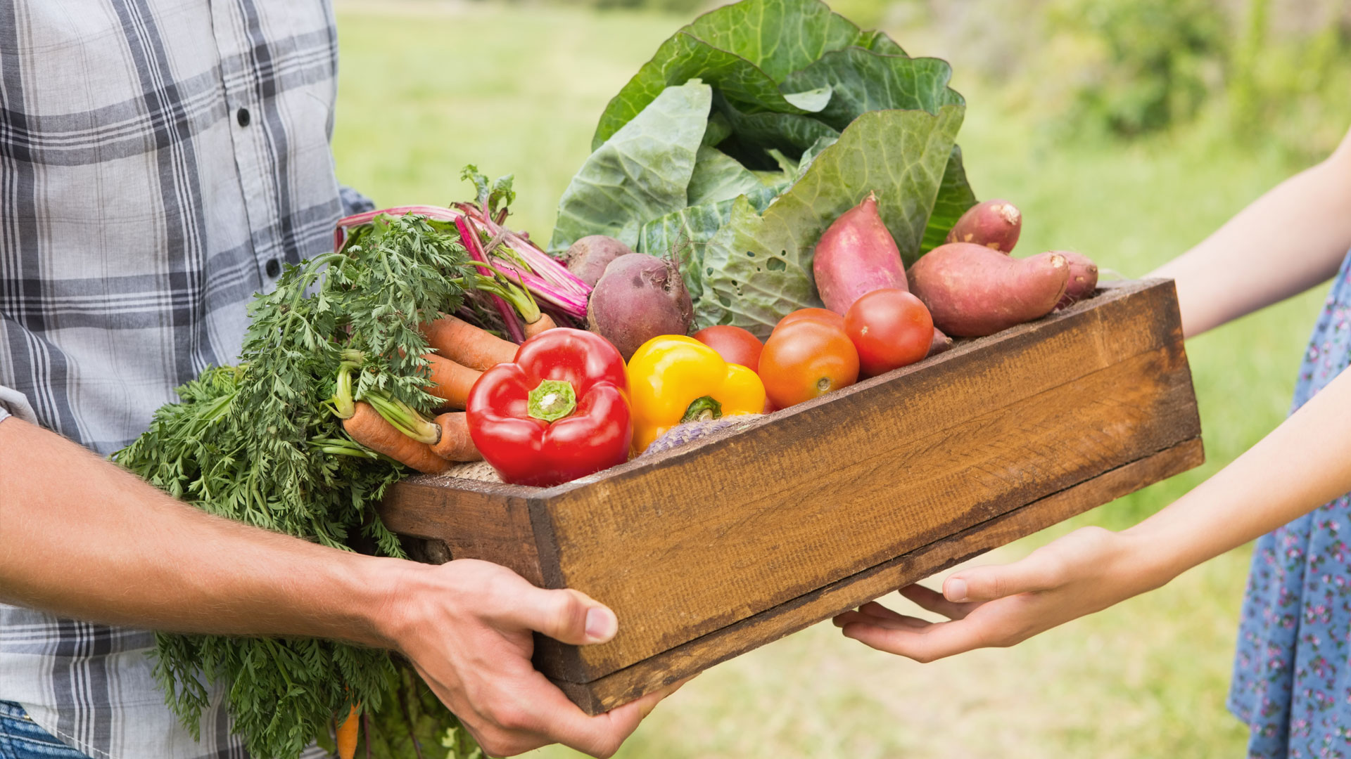 “10 Delicious and Sustainable Alternatives to Imported Fruits and Vegetables for Healthy Eating”