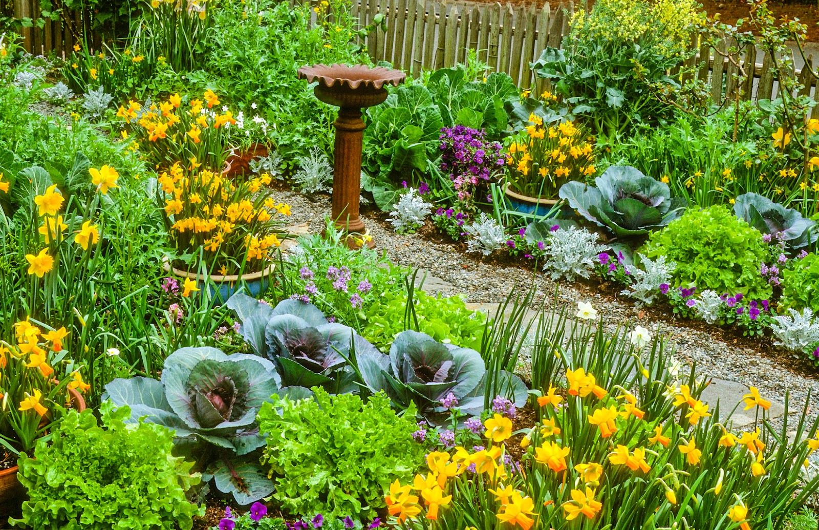 “10 Reasons to Grow Your Own Food: The Beauty and Practicality of Edible Landscaping”