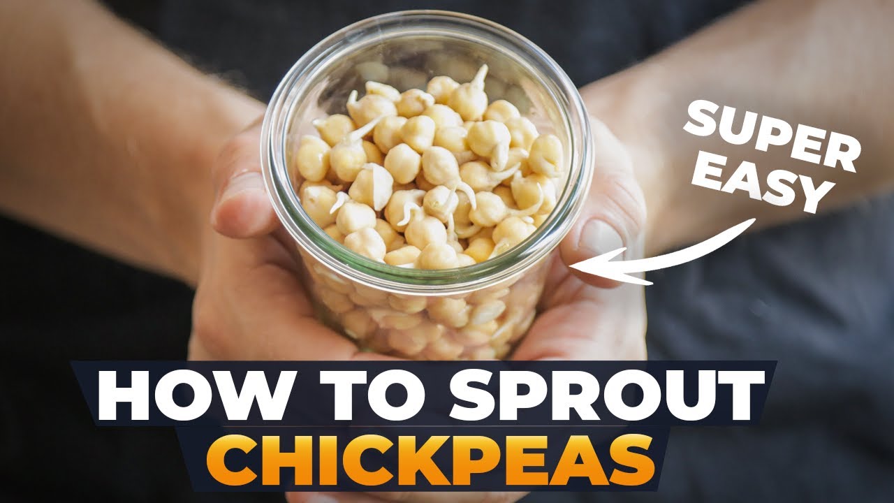 “Take Your Chickpea Game to the Next Level with These Tempering Techniques!”